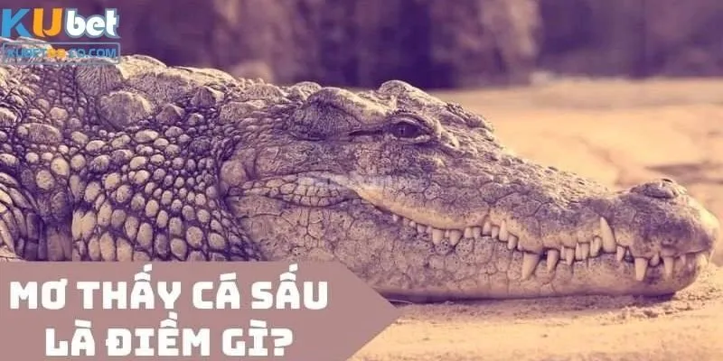 Mơ thấy con cá sấu ẩn chứa những ý nghĩa gì?
