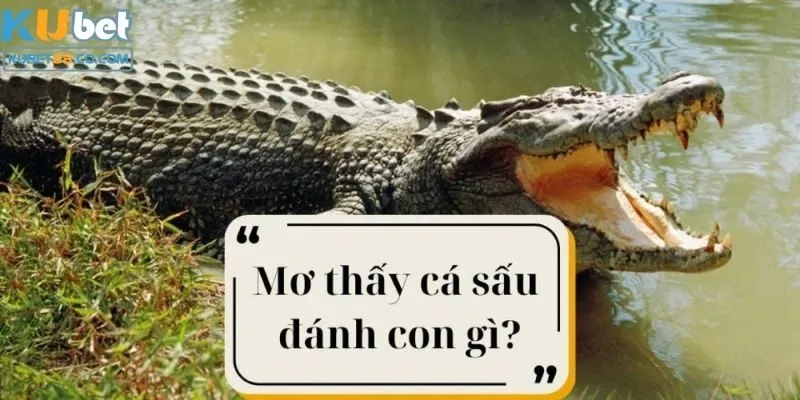 Mơ cá sấu thì nên đánh con số nào?